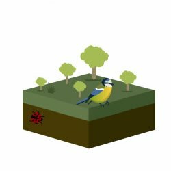 Conservation Graphic