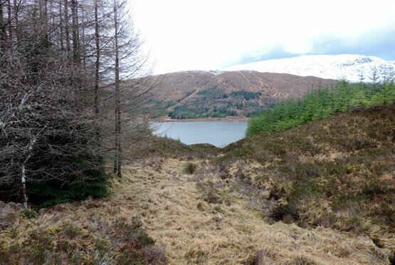 Mountainview Nature Reserve