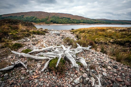 Mountain View by the loch